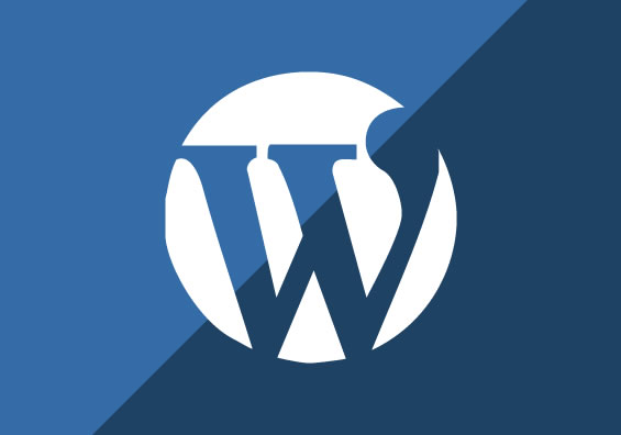 central florida wordpress developer